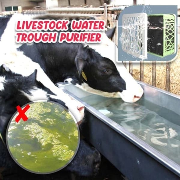 FarmFresh Tiertränke Reiniger – Effektive Wasserreinigung für sauberes und gesundes Viehtrinken