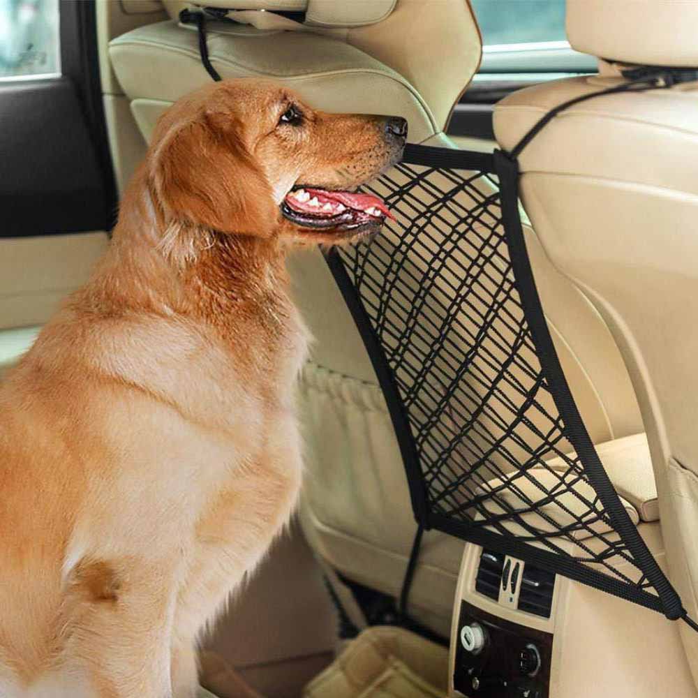 CarCord Auto-Organizer – Sicherheitsnetz für geordnete Fahrten