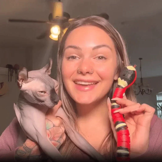 Interaktives Spielzeug für Katzen - Realistisch bewegende Schlangenattrappe
